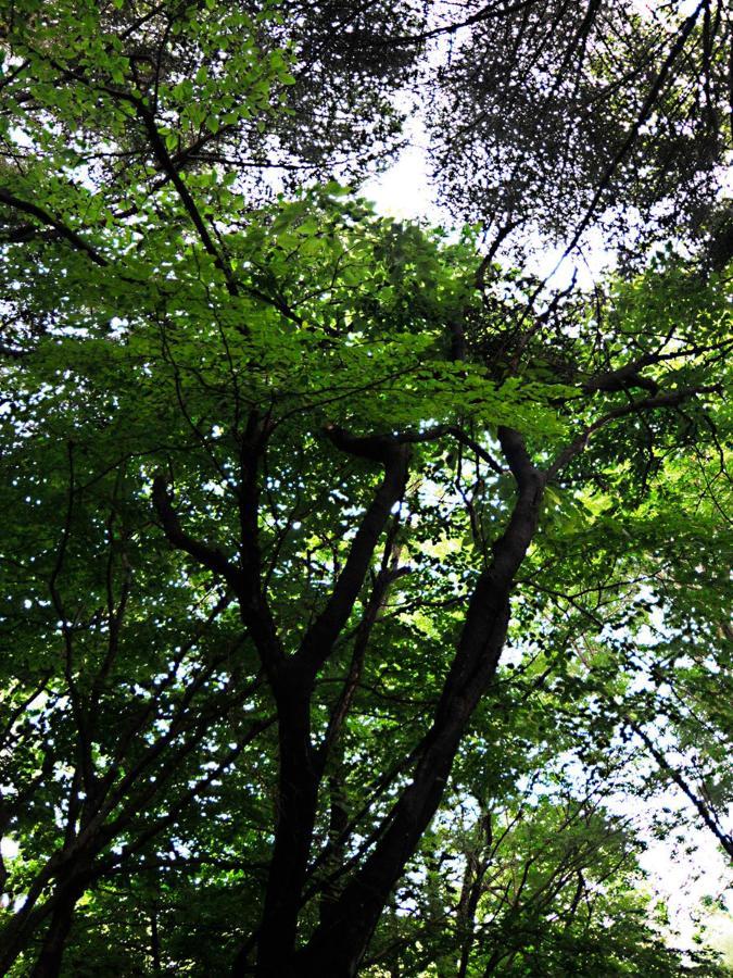 大人スイート 那須高原 結 Cottage Nasu Dış mekan fotoğraf